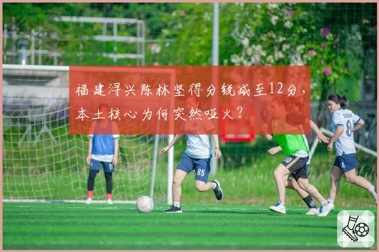 福建浔兴陈林坚得分锐减至12分，本土核心为何突然哑火？