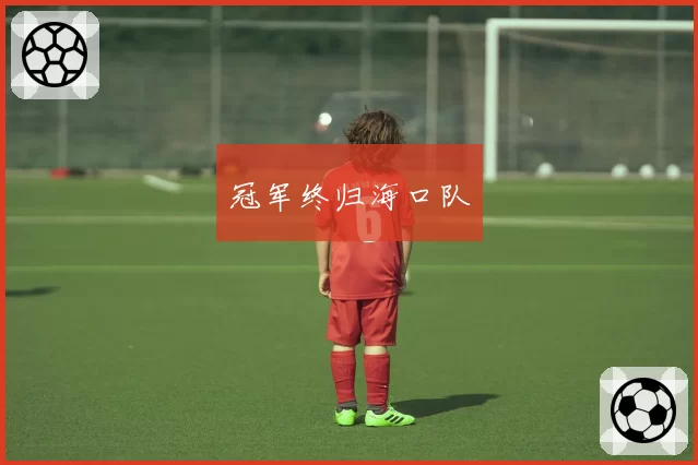 冠军终归海口队