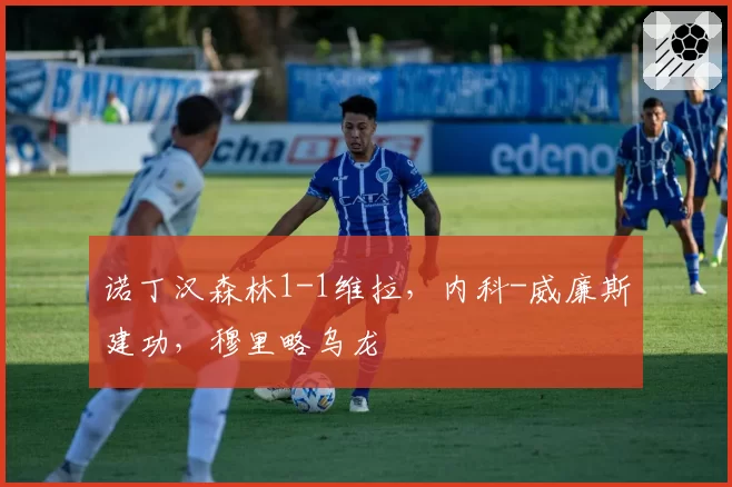 诺丁汉森林1-1维拉，内科-威廉斯建功，穆里略乌龙