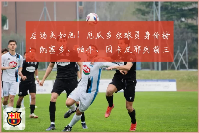 后场美如画！厄瓜多尔球员身价榜：凯塞多、帕乔、因卡皮耶列前三