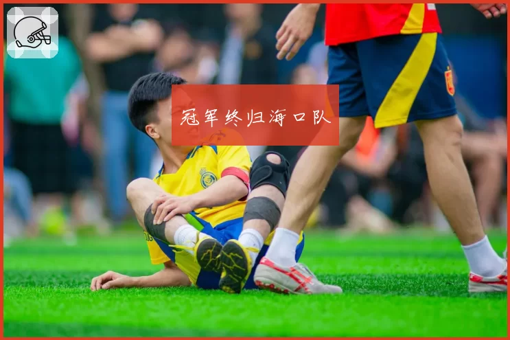 冠军终归海口队